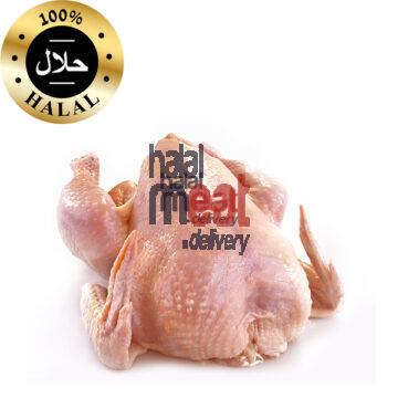 halal chicken medium whole