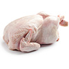 Medium Chicken Whole